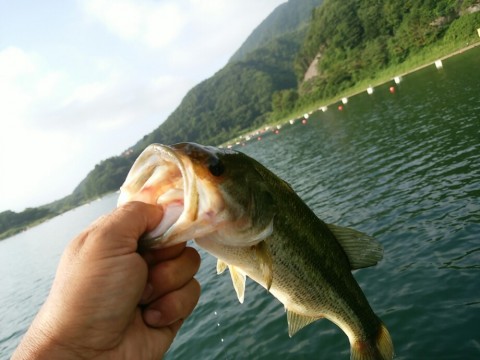 8e653sec54g4k6jze4fu_920_690-af08f098.jpg