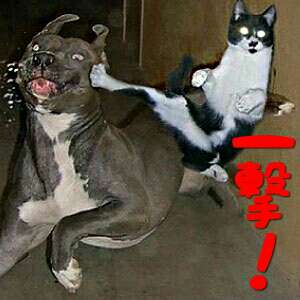 8eeckxwzs9tkaa25id9y-1aa666b0.jpg