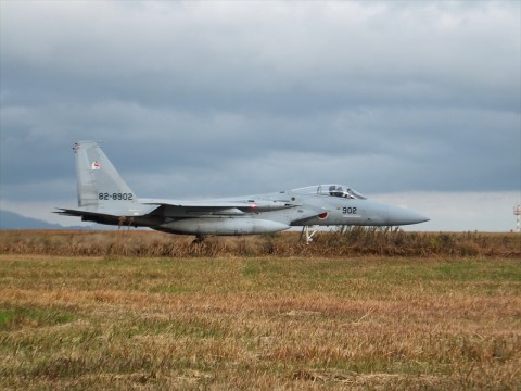 8eibubanym56gicy3twx_480_480-8dc892c3.jpg