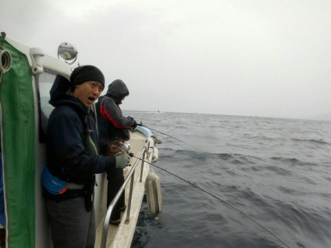 8eswf9gr9dajw4jswmwg_480_480-c15d9249.jpg