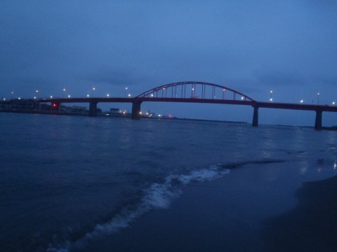8ezeprnfgtmvbywk9b6g_480_480-66724d56.jpg