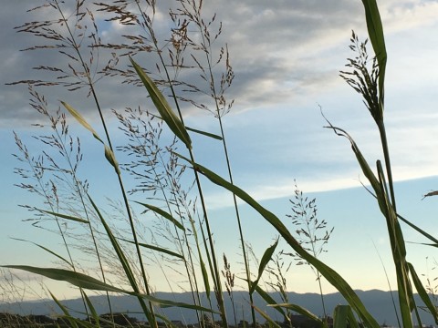 8f47mnwh453vkmscfwnf_920_690-c39625c7.jpg