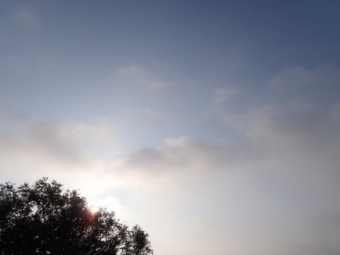 8fdww4jnzzyt7o2tg5i2_480_480-b900a5e3.jpg
