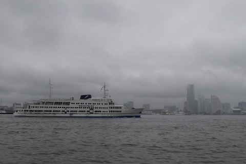 8fe82sdehogmu3jbyz5n_480_480-116a0699.jpg