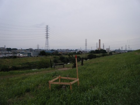 8fizayaybvw2j949d288_480_480-cdbb050c.jpg