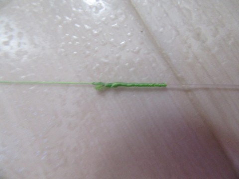 8fzwsr8onir46sfop7vi_480_480-0af5d364.jpg