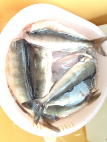 8g6guno4y85y757ti6o6_690_920-991a0cff.jpg