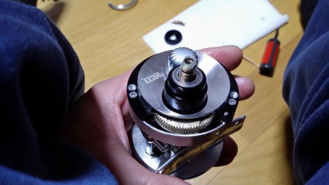 8g82mwgbpug29k6yahsx_480_480-0121b3f1.jpg