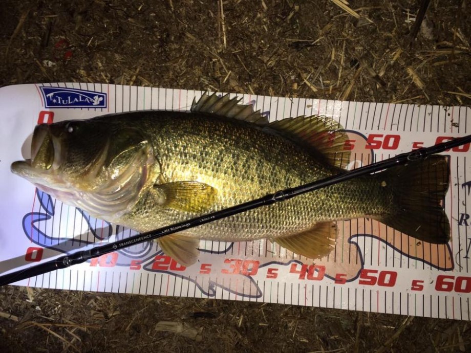 Chill Fishing 琵琶湖遠征で毎年ロクマルを釣ること Chill Fishing 琵琶湖遠征で毎年ロクマルを釣ること