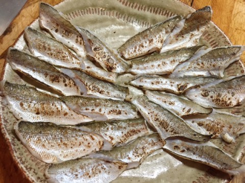 8gaseuew9ejphccmi2ag_480_480-f862ab2e.jpg