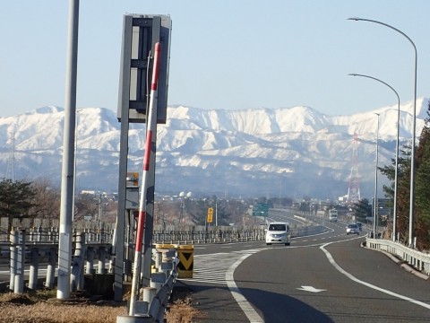 8guzovm8z65hu8xsd8kz_480_480-f69b4acd.jpg