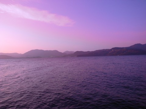 8gv5e8p6r5b5s8achmdy_480_480-e3f352af.jpg