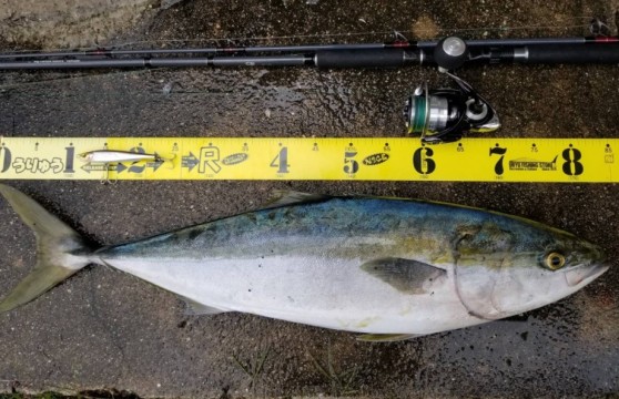 タックルインプレ日記】 サーペントライジングXSR701GX