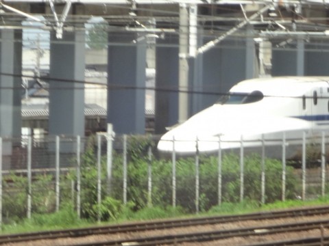8h9zzfjhi2vj5r7i7mwx_480_480-ad2e3074.jpg