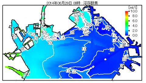8haobg23yvefkfkxywnk_480_480-ff3e9370.jpg