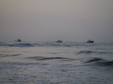 8hod8jkx2yn4rihb6kcr_480_480-0ab91382.jpg
