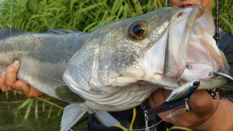 8hot4wt52krd9bp8koi5_920_518-92639321.jpg