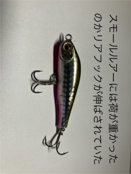 8htk4kosi2hr7oyf34w2_360_480-924c0533.jpg