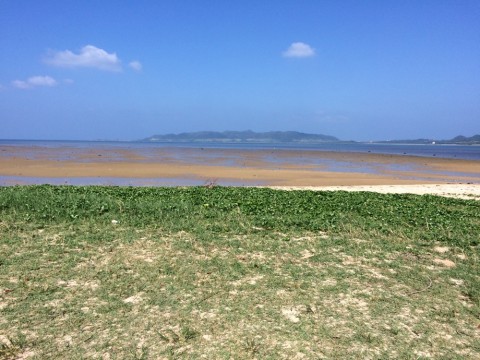 8httucdg7y5y6yj78aov_920_690-a16314f6.jpg