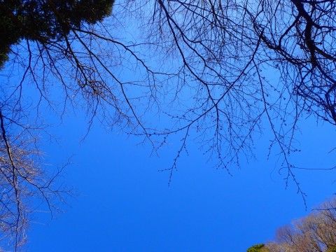 8huftdougki43imrwm78_480_480-b1b30f4a.jpg