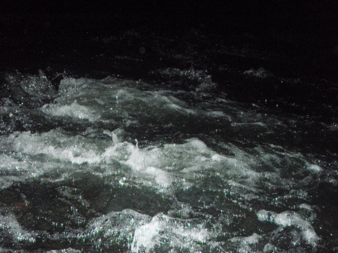 8igvu3me2xswkyms7dx7_480_480-d4184498.jpg