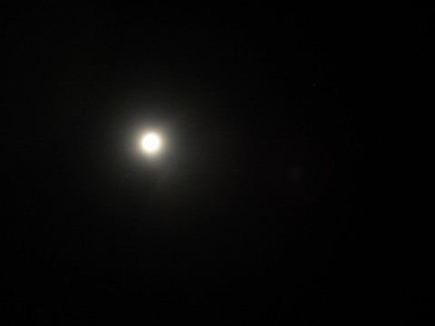 8iwtkutmej3zygoe2rkc_480_480-1a2f3365.jpg