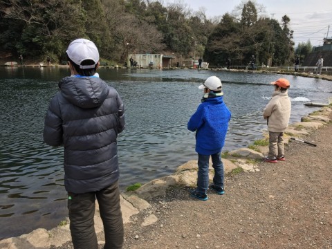 8j8eo8ongv5wgmik7nxj_480_480-8d9cfe03.jpg
