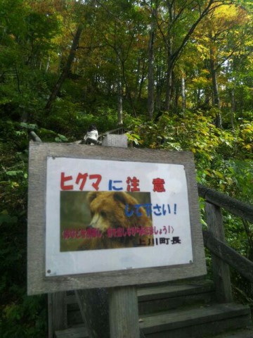 8j8fjdixipjegdx5p7c6_480_640-553e0f96.jpg
