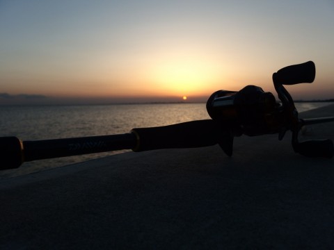 8j8mgr2yoybepgjshwkd_920_690-d48c3799.jpg