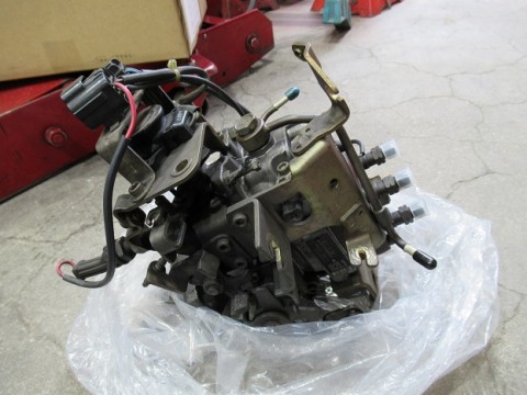 8jaf3u7o562x3a9dxr82_480_480-130e073f.jpg