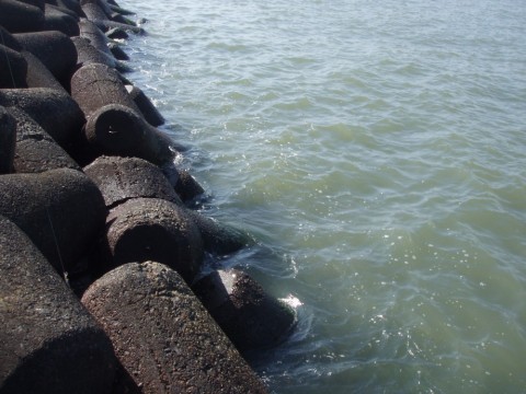 8jajci3psrf49a6934gh_480_480-37566d7f.jpg