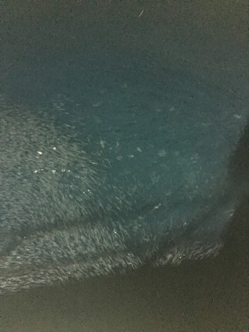 8jmspgojiwwi6i7jhhxi_690_920-b527c2e6.jpg