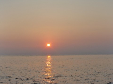 8jmxxkbmtazmopsfu94m_480_480-b280bd05.jpg