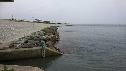 8jp2d8eevd4vmypghiyc_920_518-48e79272.jpg