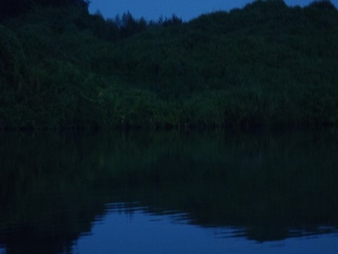 8jueg4bm3ygac8dhdz7b_480_480-7b66e18f.jpg