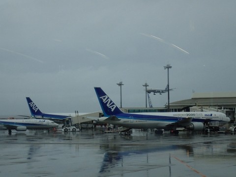 8jye7bv2ujinw48efhpj_480_480-1d8ba406.jpg