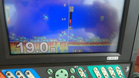 魚探　アジ