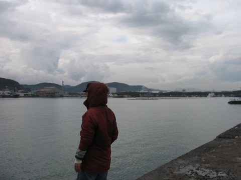 8kbRCSZ8OKcFZjrkwggX_480_480-30951e18.jpg