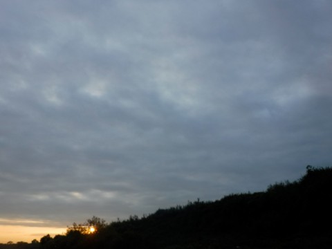 8kbg9t75wna7pwt4w9r6_480_480-a62b5b07.jpg