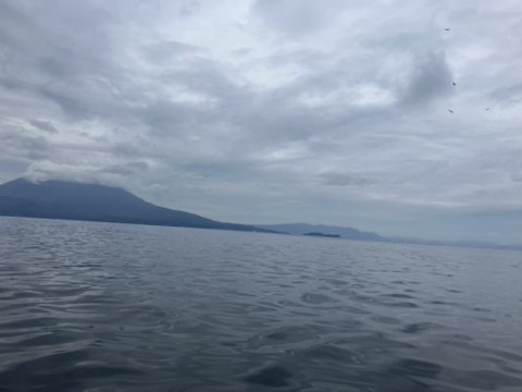 8kda27evia2gs4e7o6mb_480_360-f87b3c25.jpg