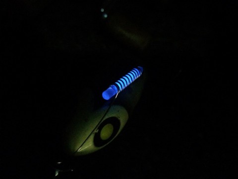 8kfxr52x7yrdk7uxbnec_480_480-9574771f.jpg