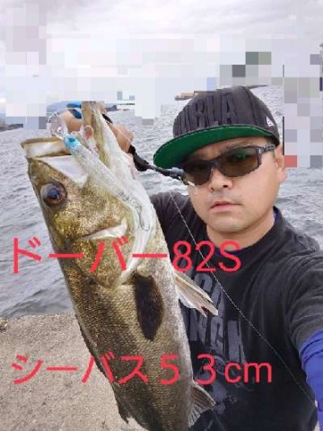 8kmdcd5rjgsogk8k4mnt_480_480-83452244.jpg