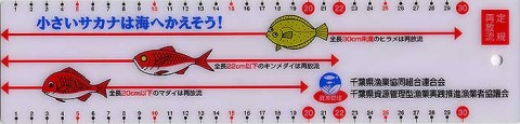 8kos77b9nx6asask6nmp_480_480-b857d430.jpg