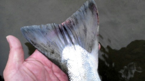 8kpnhd8yopjopchkk7se_920_518-c498e504.jpg