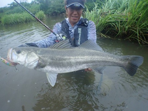 8kvx6p7c6tsoak3jmore_480_480-8baff418.jpg
