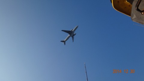 8mgmaubfmzzv9mu6xxev_480_480-89b03d66.jpg