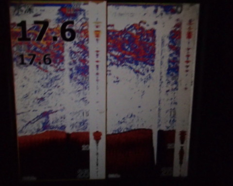 8mseeb3oit2kuefubeeh-80cc68ab.jpg