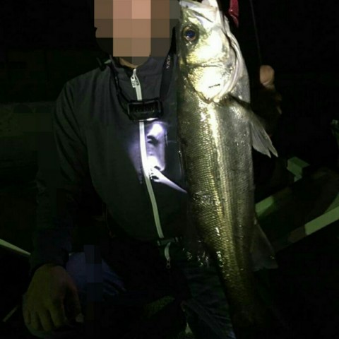 8n46ib79a3ojxx39w5gz_920_920-86fd8cb8.jpg