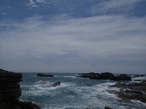 8n8rnm7mjwxu9do93222_480_480-c4012643.jpg