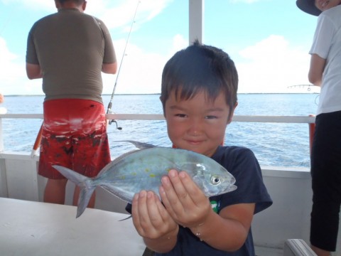 8njyzpuwokrud76b3b52_480_480-e62c8bca.jpg